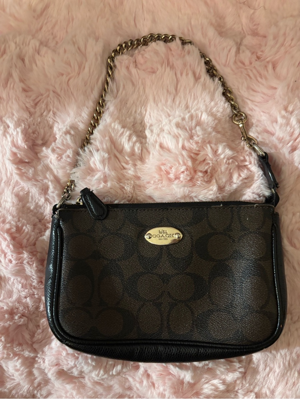Coach F64234 Signature Chain Shoulder Bag Brown
Khaki Y2K Mini Purse